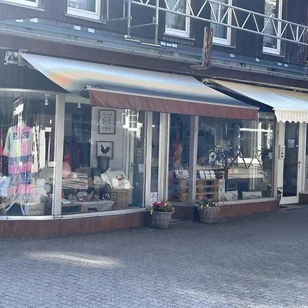 Ferienapartment Hahnenklee Apart.2 戈斯拉尔