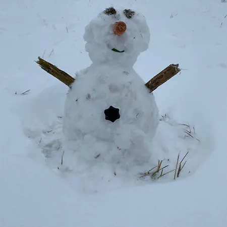 Ferienapartment Hahnenklee Apart.2 Goslar