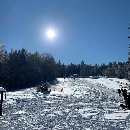 Ferienapartment Hahnenklee Apart.2 Daire *