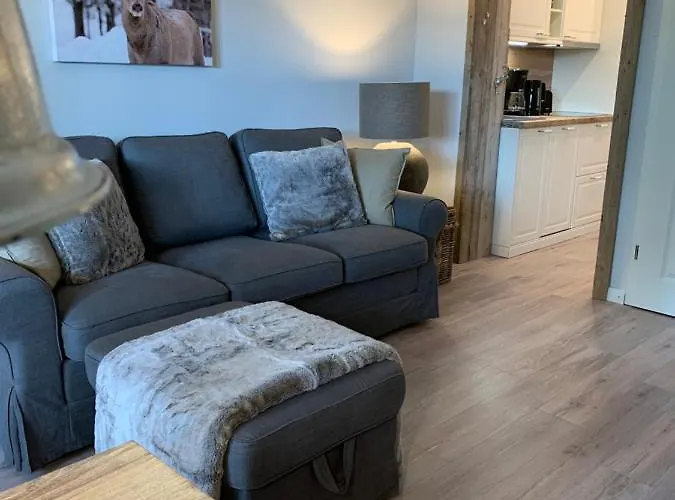 Daire Ferienapartment Hahnenklee Apart.2 *