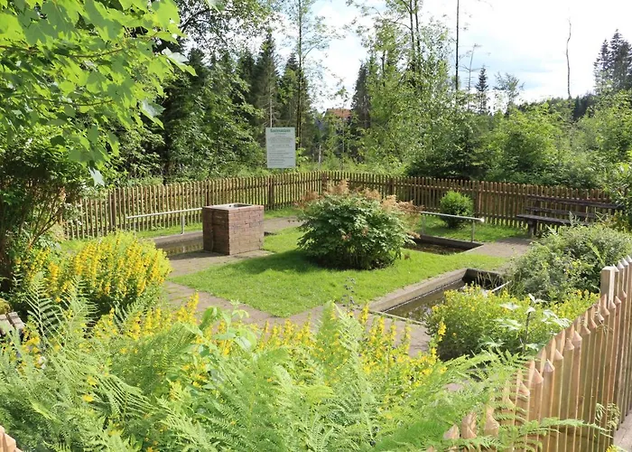 Ferienapartment Hahnenklee Apart.2