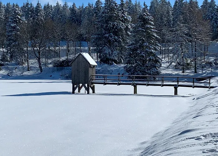 Ferienapartment Hahnenklee Apart.2 公寓