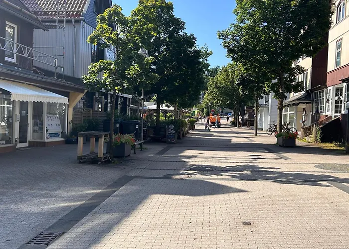 公寓 Ferienapartment Hahnenklee Apart.2