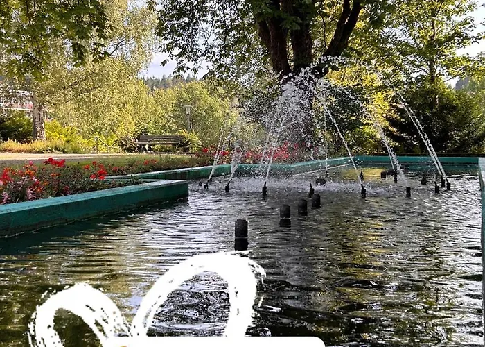 Ferienapartment Hahnenklee Apart.2 Daire *