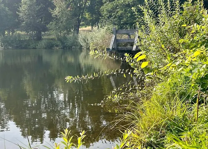 Ferienapartment Hahnenklee Apart.2 公寓 戈斯拉尔