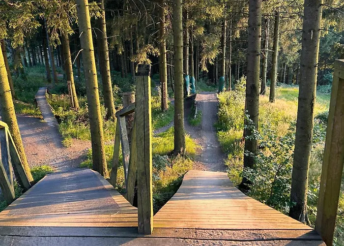 公寓 Ferienapartment Hahnenklee Apart.2 *