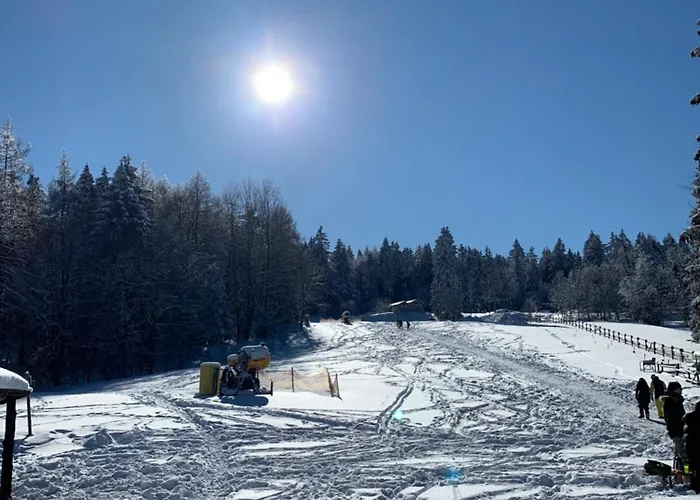 Ferienapartment Hahnenklee Apart.2 公寓 *